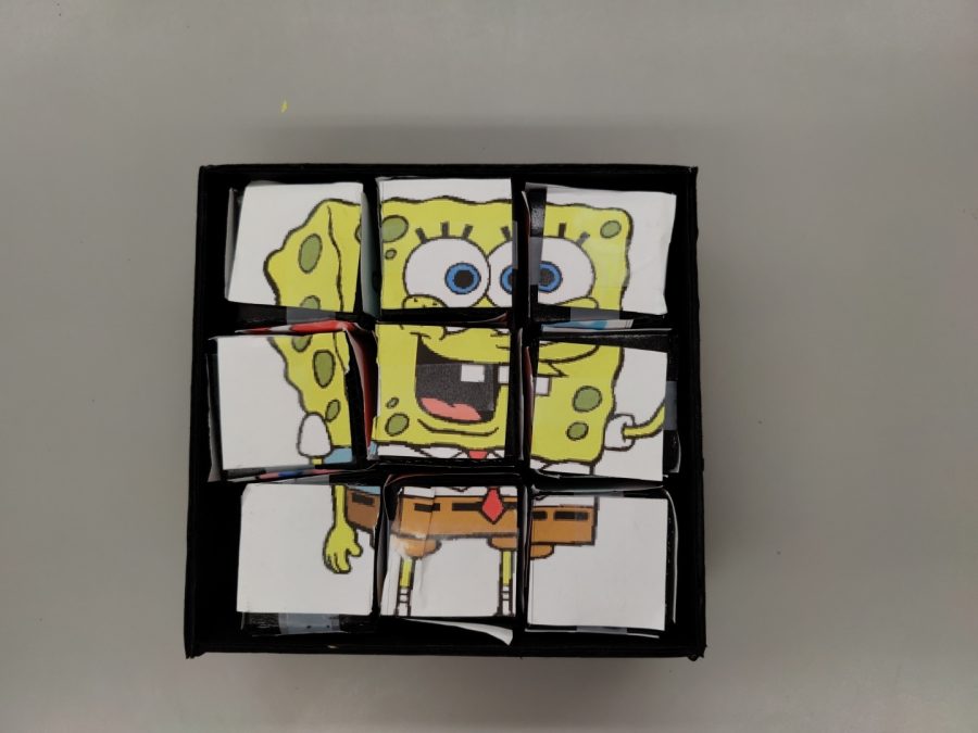 Six different pictures are cut into nine pieces and glued to each of nine blocks. The resulting puzzle challenges users to either solve the puzzle or use the blocks to build something.