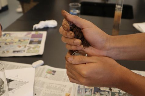 The AP Environmental students explore the intricacies of soil.