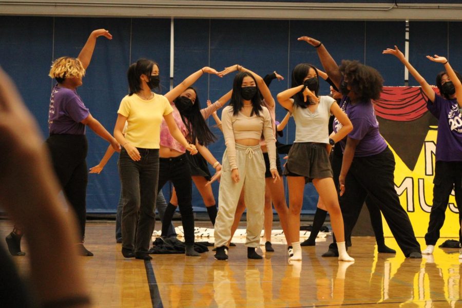 Floorshow (2)