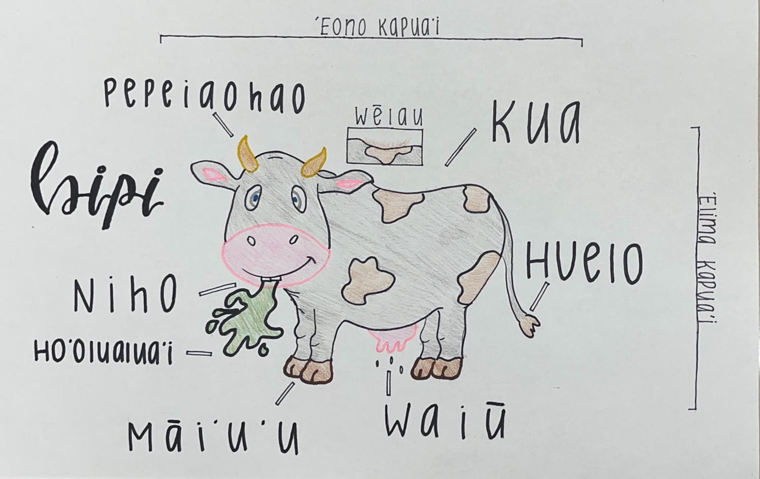 Ka Bipi – NA HOKU O MOANALUA