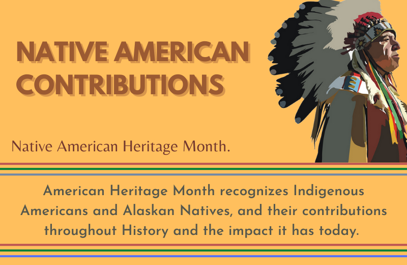 Native American Contributions Infographic