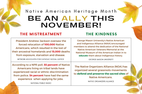 Native American Heritage Month Infographic