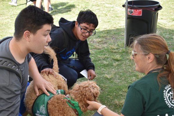 Juniors Frank Emerick (left) and Jayden Contreras hung out with a furry friend for a few minutes at the Hawaiian Humane Society booth.